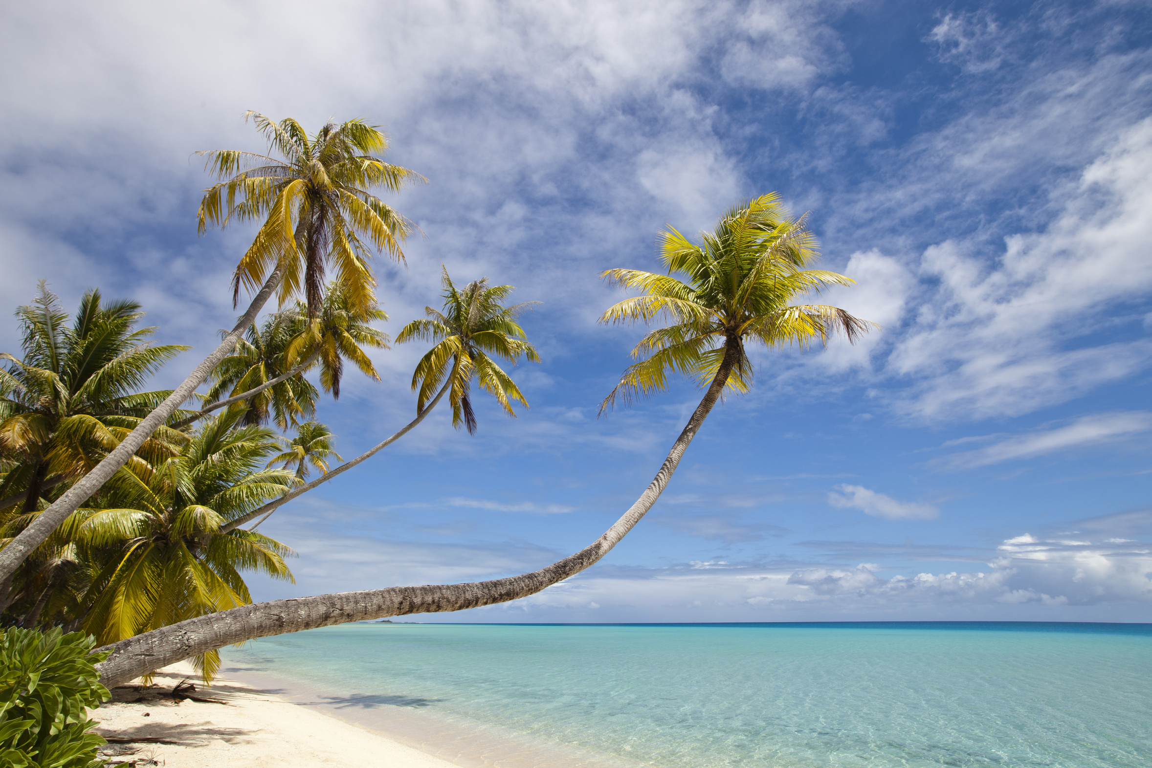 Photo Découvrir la face cachée des Seychelles : les îles éloignées que vous ne pouvez atteindre qu'en croisière